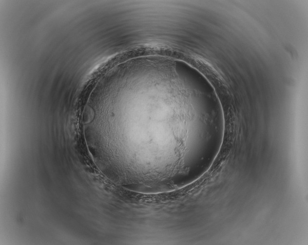 X0000113600776200909181351