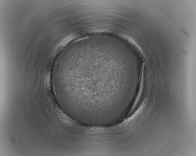 X0000113600777200909181351