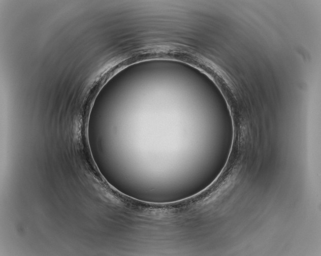 X0000113600778200909181351