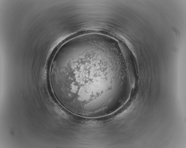 X0000113600779200909181351