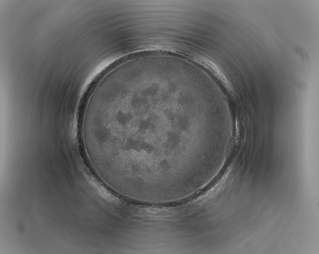 X0000113600780200909181351