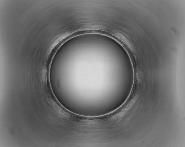 X0000113600781200909181351