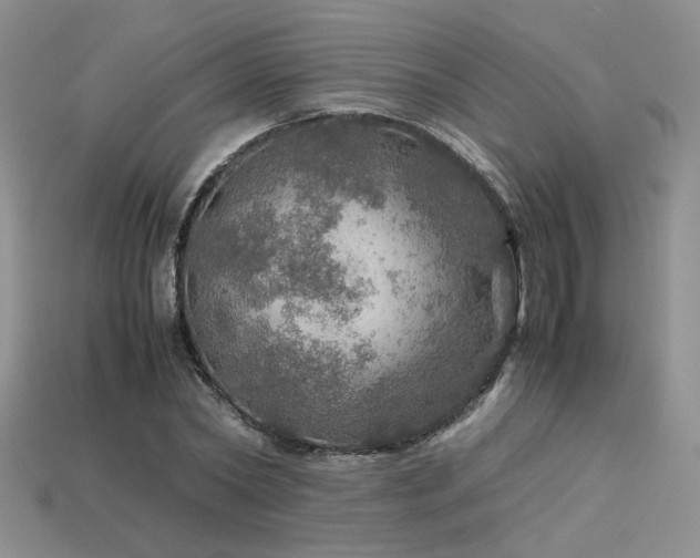 X0000113600782200909181351