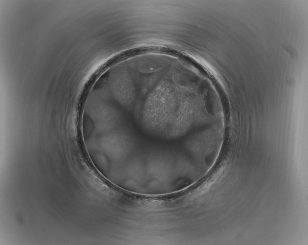 X0000113600783200909181351