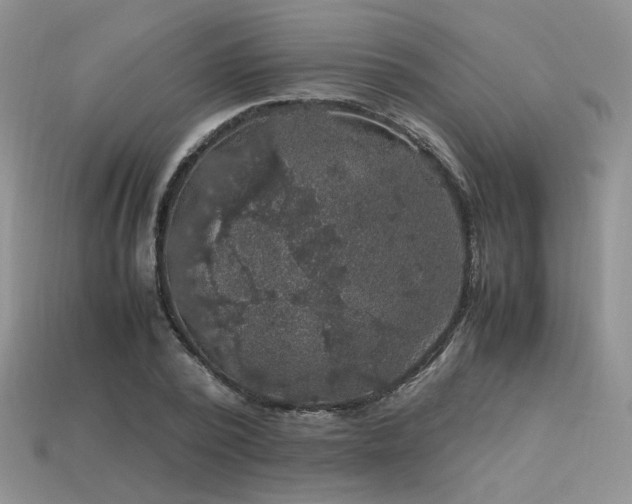 X0000113600784200909181351