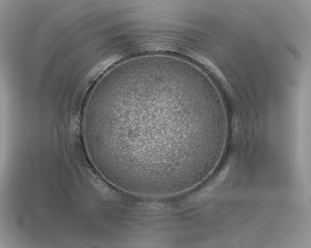 X0000113600785200909181351