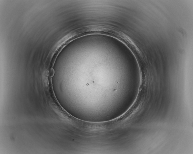 X0000113600786200909181351