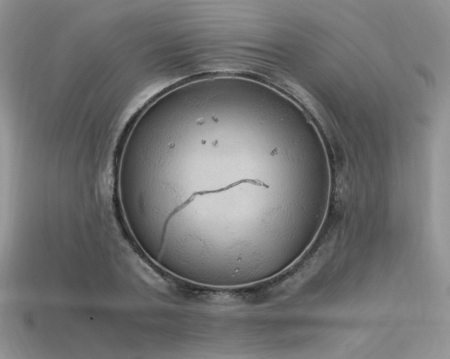 X0000113600787200909181351