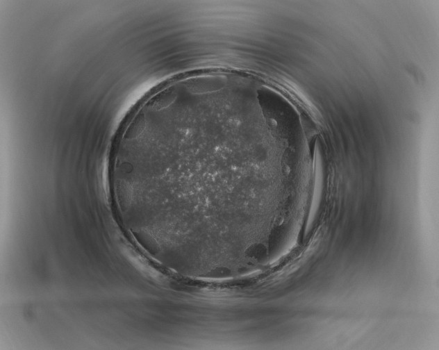 X0000113600788200909181351