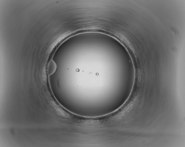 X0000113600789200909181351