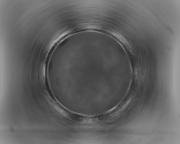 X0000113600790200909181351