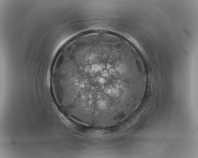 X0000113600791200909181351