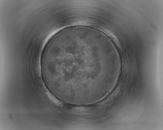 X0000113600792200909181350