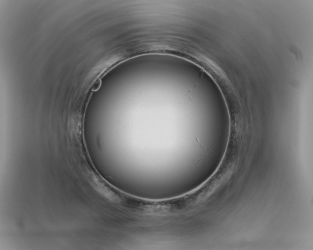 X0000113600793200909181350