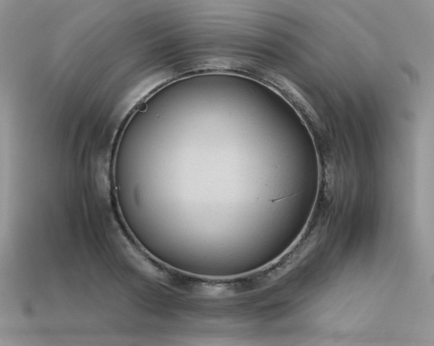 X0000113600794200909181350