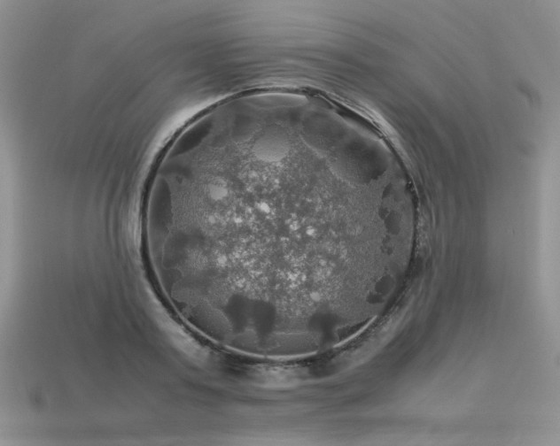 X0000113600795200909181350