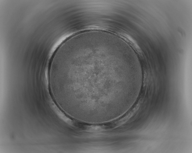 X0000113600796200909181350