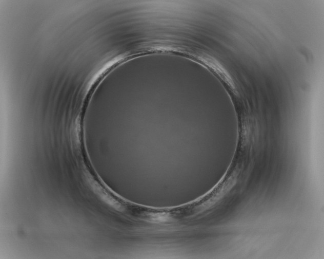 X0000113600798200909181350