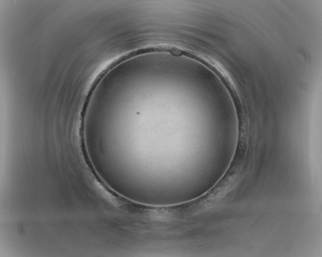 X0000113600799200909181350