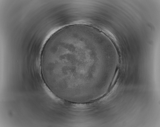 X0000113600800200909181350