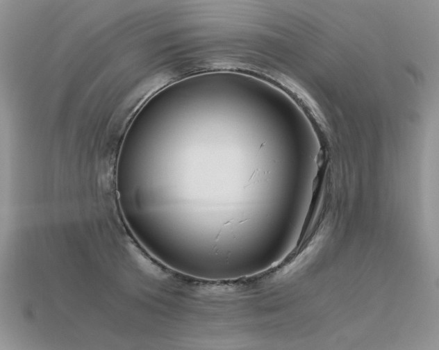 X0000113600801200909181350