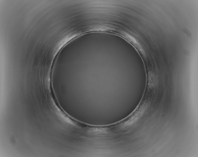 X0000113600802200909181350