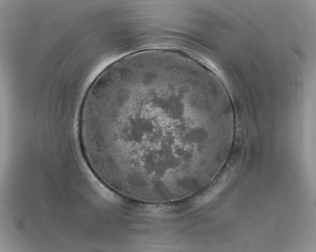 X0000113600803200909181350