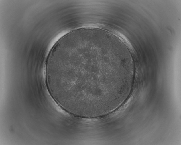 X0000113600804200909181350