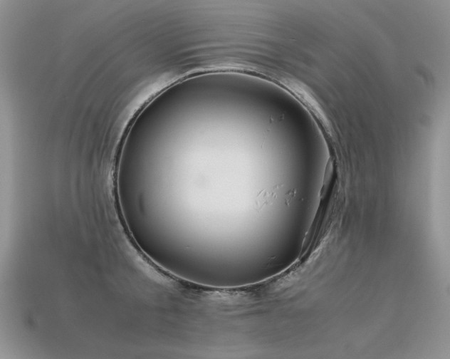 X0000113600805200909181350