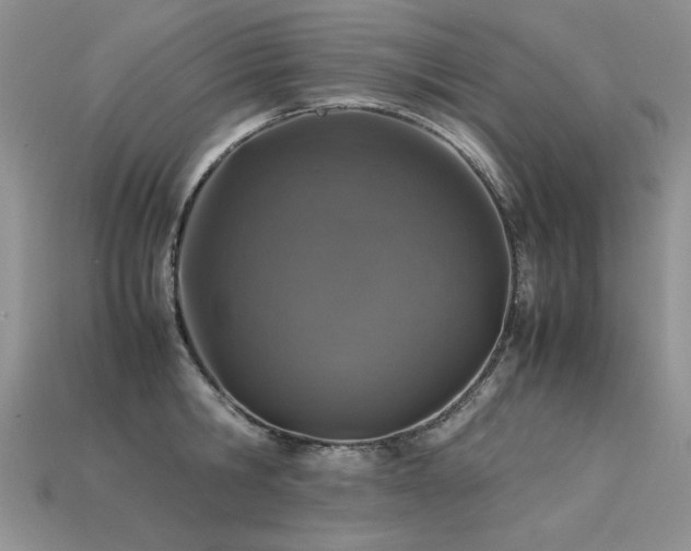 X0000113600806200909181350