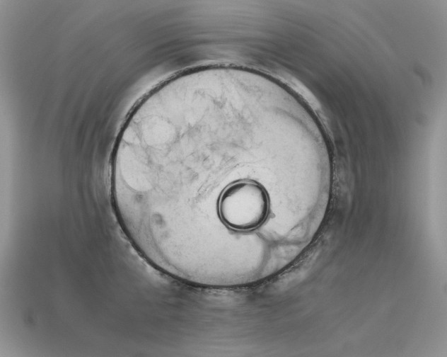 X0000113600807200909181350