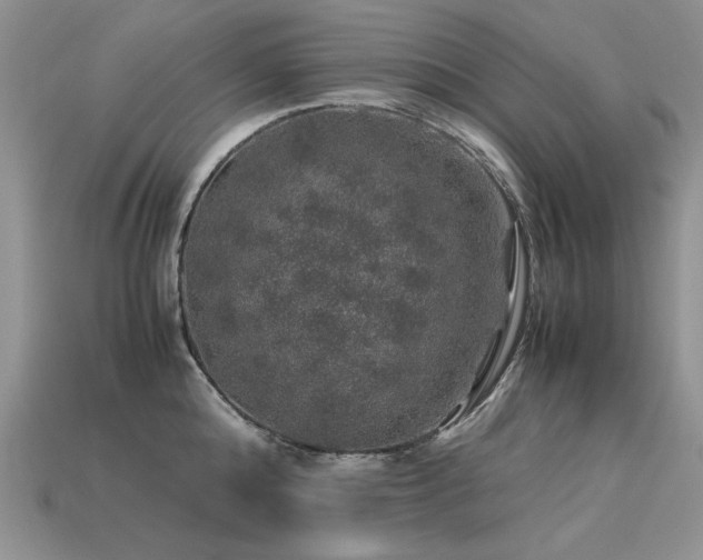 X0000113600808200909181350