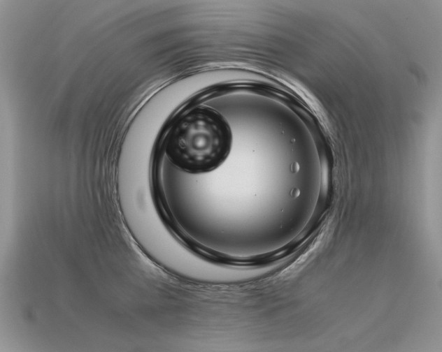 X0000113600809200909181350