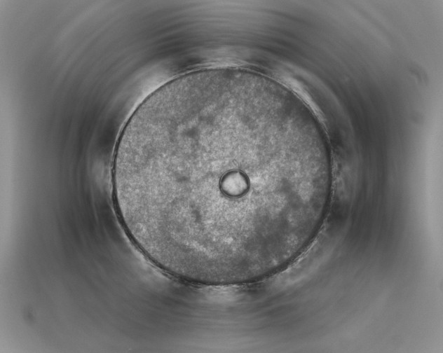 X0000113600810200909181350