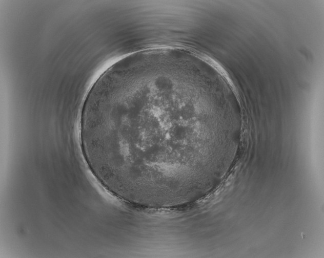 X0000113600811200909181350