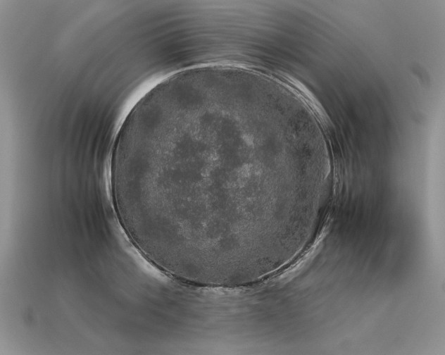 X0000113600812200909181350