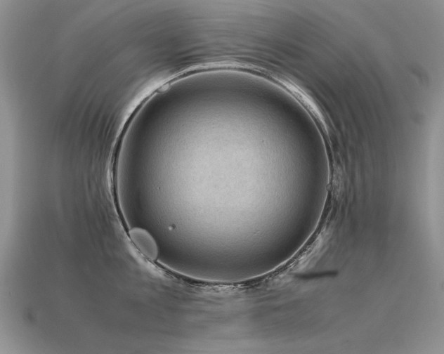 X0000113600813200909181350