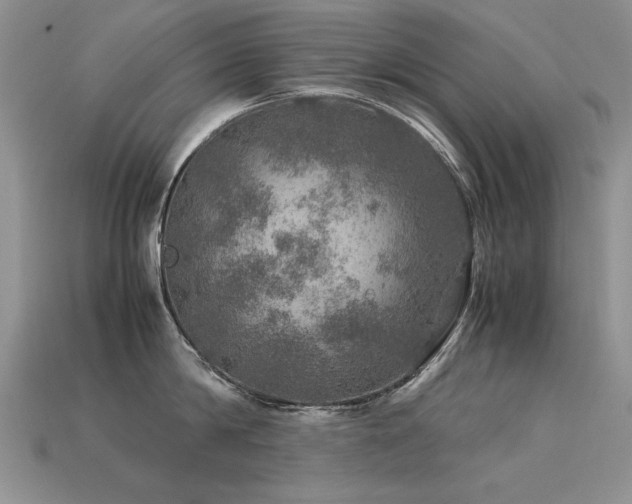 X0000113600814200909181350