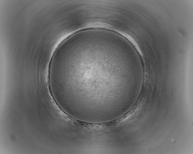 X0000113600815200909181350