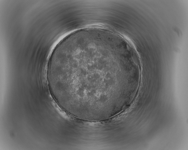 X0000113600816200909181350