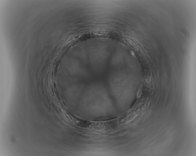 X0000113600817200909181350