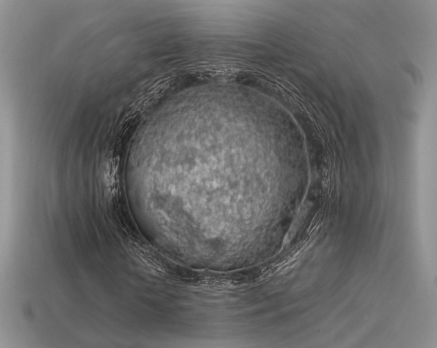 X0000113600818200909181350