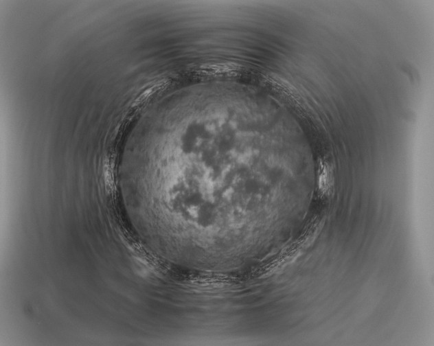 X0000113600819200909181350