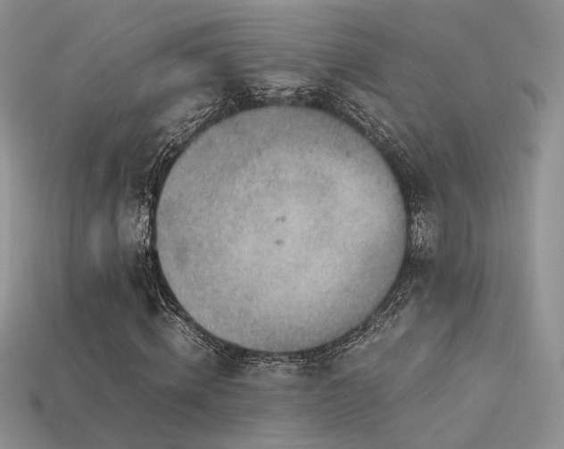 X0000113600820200909181350