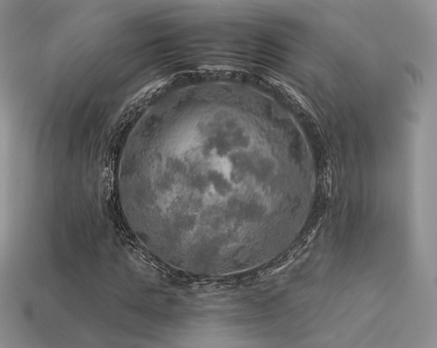 X0000113600821200909181350