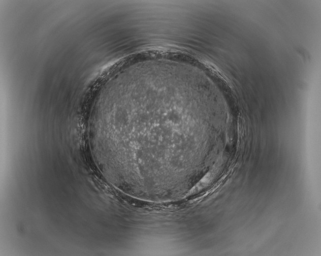 X0000113600822200909181350