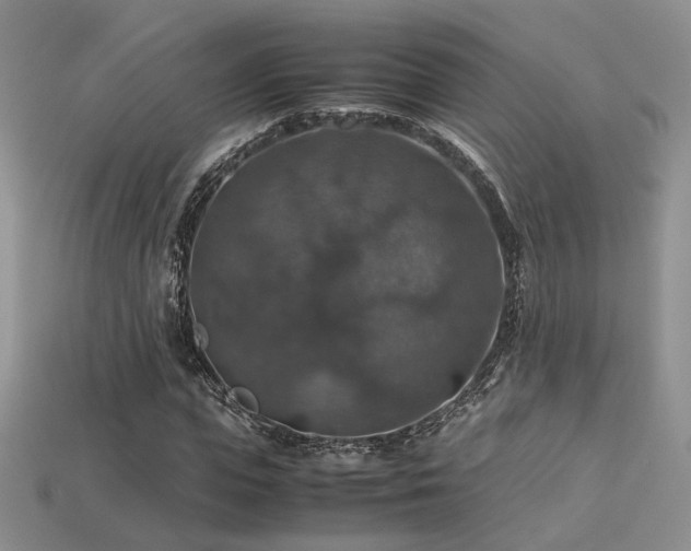 X0000113600823200909181350