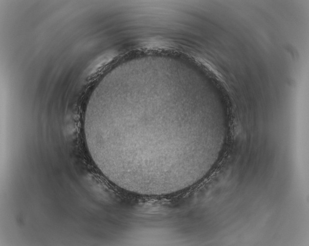 X0000113600824200909181350