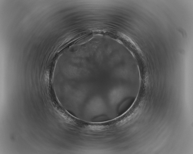 X0000113600825200909181350