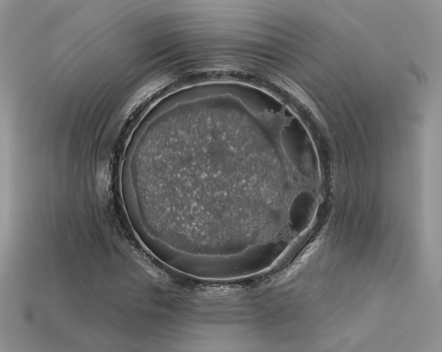 X0000113600826200909181350